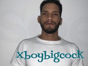 Xboybigcock