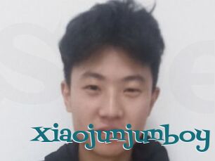 Xiaojunjunboy