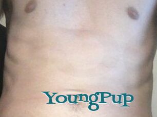 YoungPup