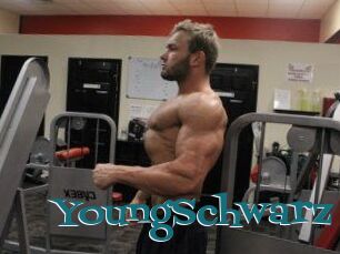 YoungSchwarz