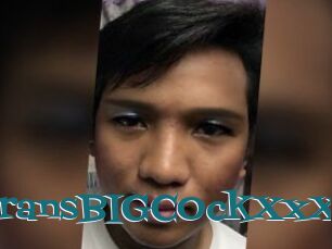 YourTransBIGCOckXxX