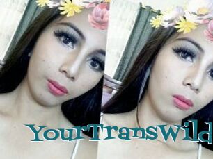 YourTransWild