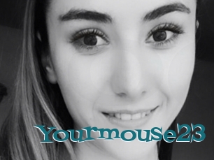 Yourmouse23