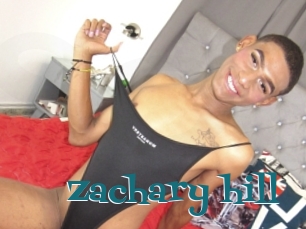 Zachary_hill