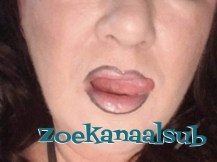 Zoekanaalsub